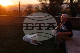 Los Angeles Wildfires Dog's Home