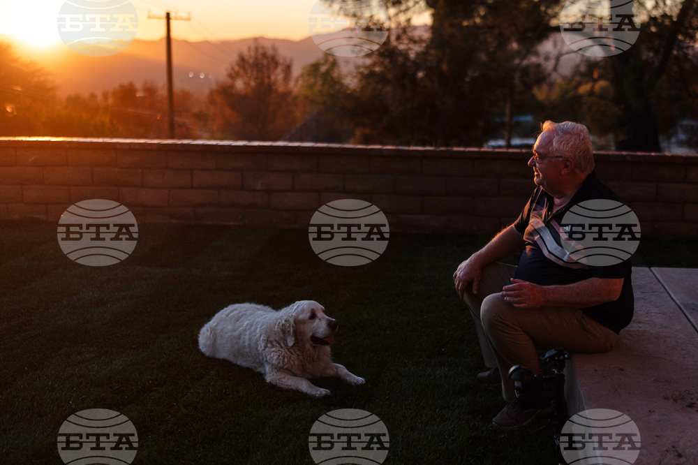 Los Angeles Wildfires Dog's Home