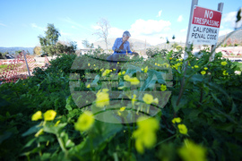 APTOPIX Los Angeles Wildfires Anniversary