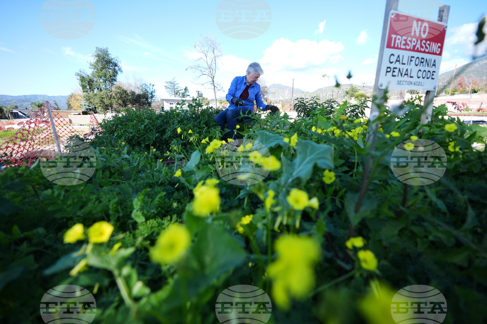 APTOPIX Los Angeles Wildfires Anniversary