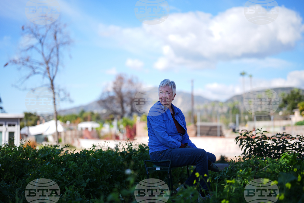 Los Angeles Wildfires Anniversary