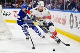 Panthers Maple Leafs HOckey