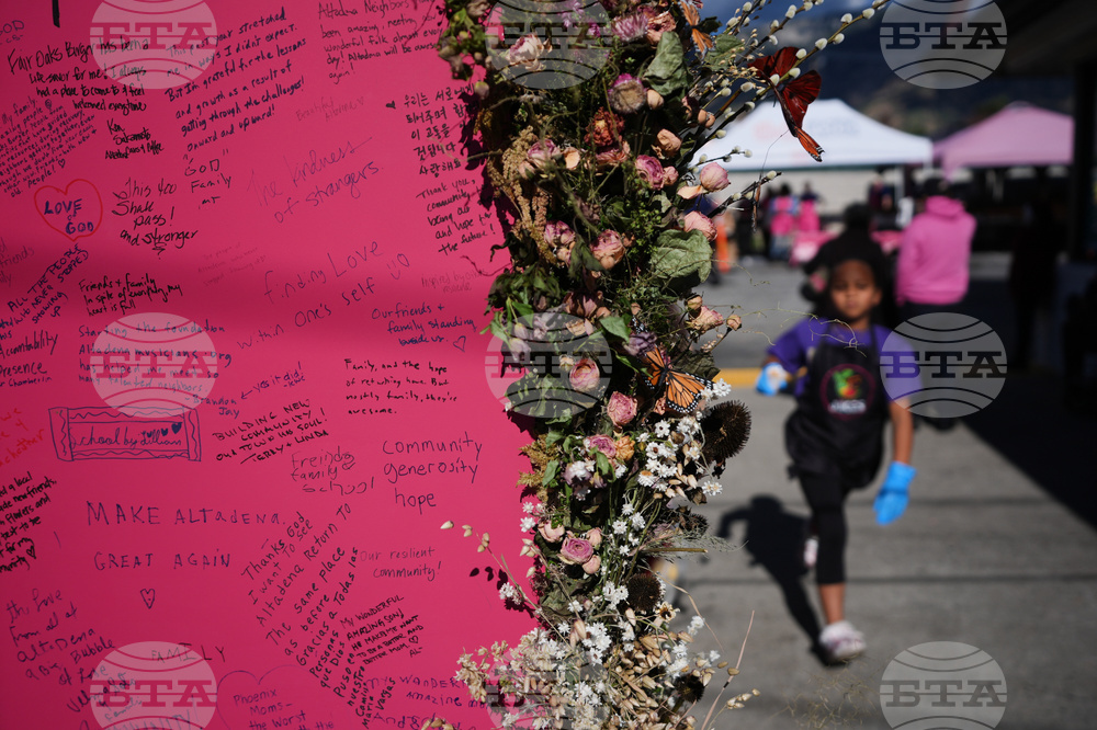 Los Angeles Wildfires Anniversary