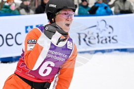 FIS Aerials World Cup Skiing