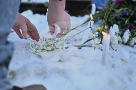 Federal Enforcement Immigration Minnesota