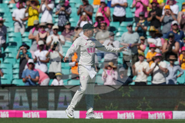 Australia England Cricket