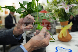 Gadget Show PlantPetz