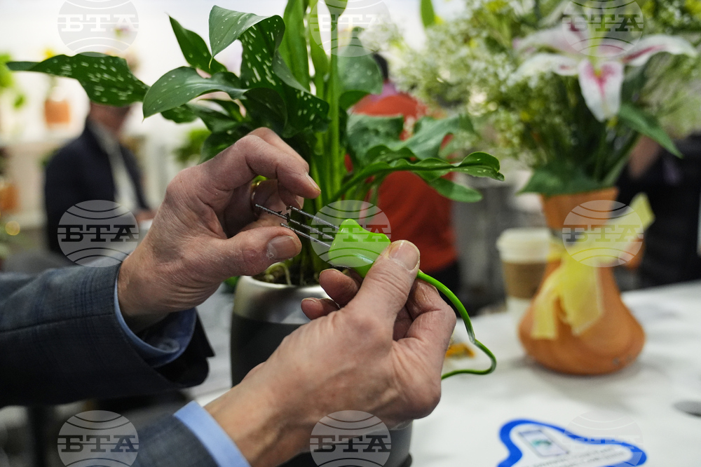 Gadget Show PlantPetz