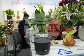 Gadget Show PlantPetz