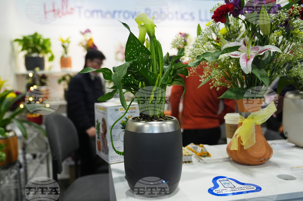 Gadget Show PlantPetz