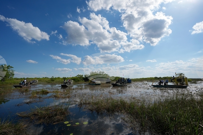 Congress Veto Overrides