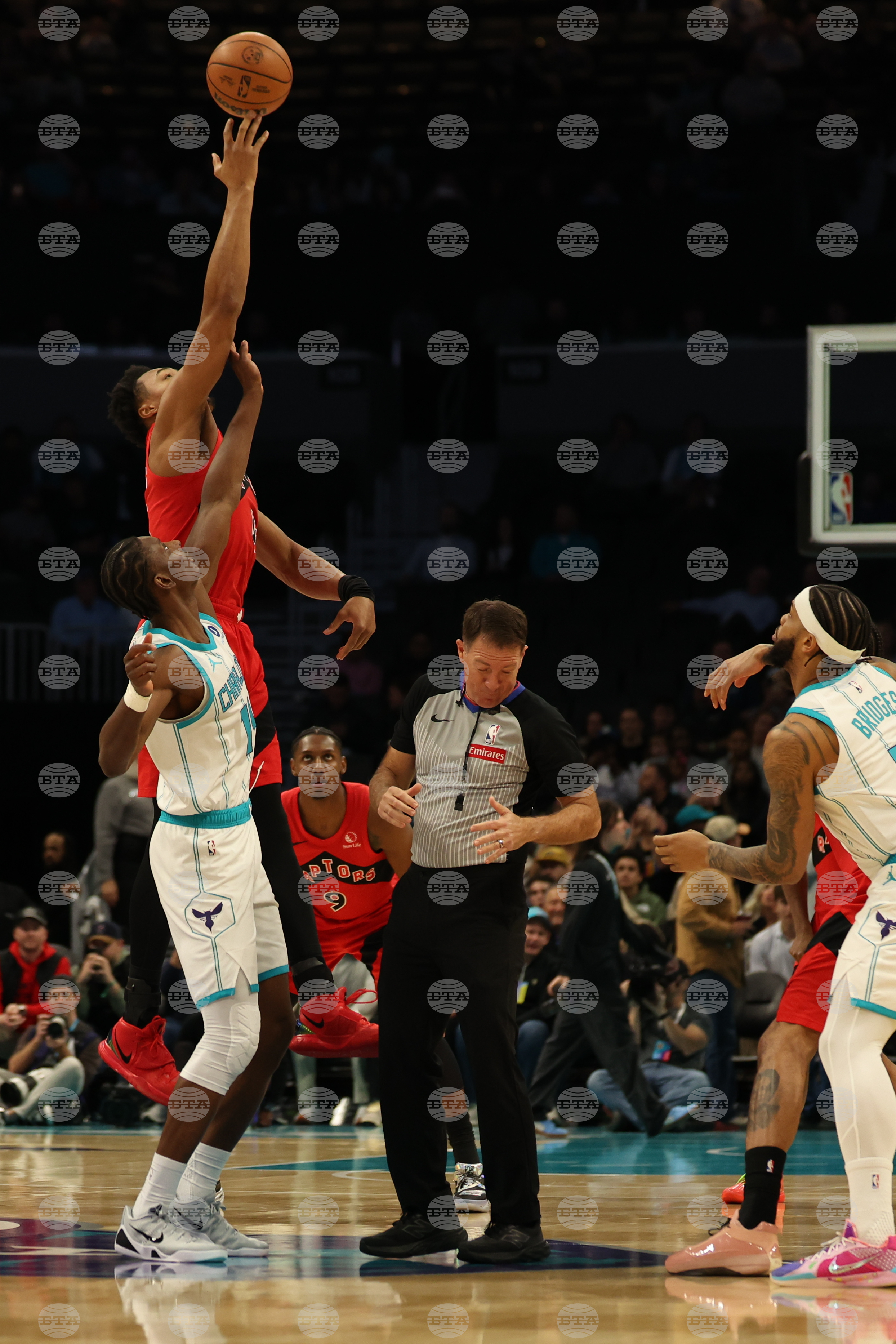 Raptors Hornets Basketball