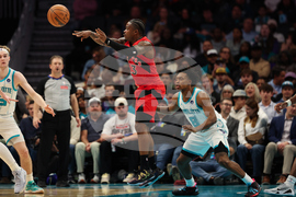 Raptors Hornets Basketball