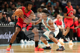 Raptors Hornets Basketball