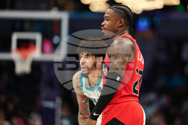 Raptors Hornets Basketball