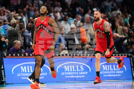 Raptors Hornets Basketball