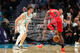 Raptors Hornets Basketball