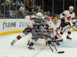 Senators Mammoth Hockey