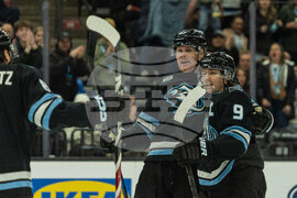 Senators Mammoth Hockey