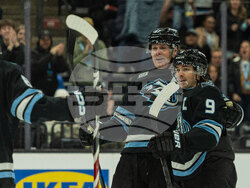 Senators Mammoth Hockey