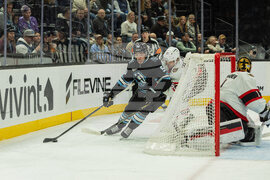 Senators Mammoth Hockey