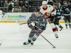 Senators Mammoth Hockey