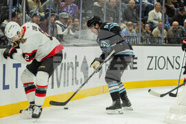 Senators Mammoth Hockey