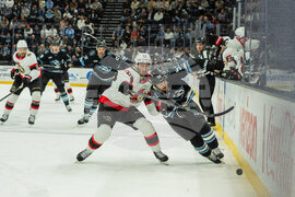 Senators Mammoth Hockey