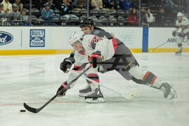 Senators Mammoth Hockey