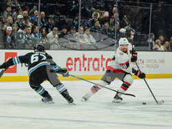 Senators Mammoth Hockey