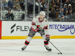 Senators Mammoth Hockey