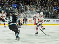 Senators Mammoth Hockey