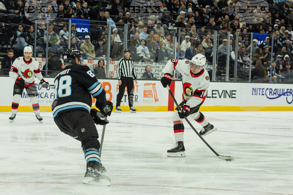 Senators Mammoth Hockey