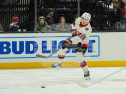 Senators Mammoth Hockey