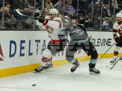 Senators Mammoth Hockey