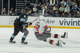 Senators Mammoth Hockey