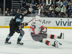 Senators Mammoth Hockey