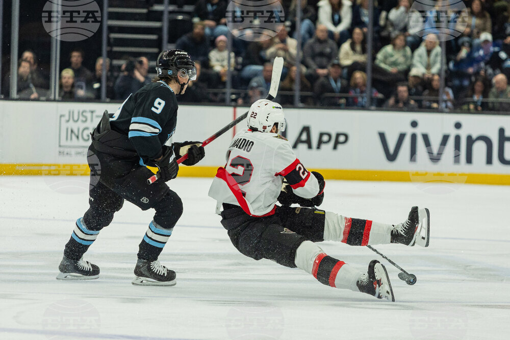 Senators Mammoth Hockey