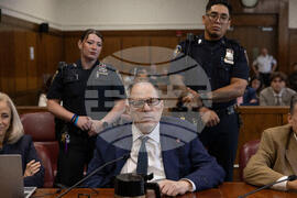 Sexual Misconduct Harvey Weinstein