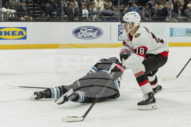 Senators Mammoth Hockey