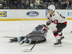 Senators Mammoth Hockey