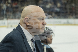 Senators Mammoth Hockey