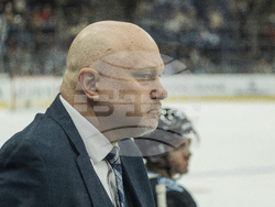 Senators Mammoth Hockey