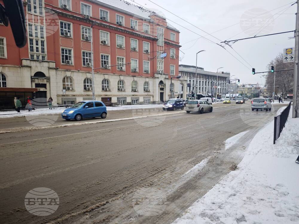 В Плевенско пътищата са проходими при зимни условия, заради аварии е прекъснато електрозахранването в селища от областта
