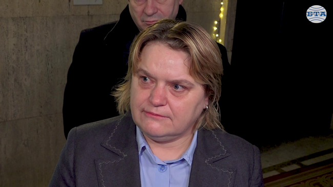 Работи се за подобряване на сметосъбирането в "Люлин" и "Подуяне", заяви зам.-кметът по екология Надежда Бобчева