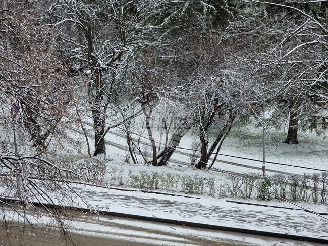 Сняг вали в цялата Великотърновска област, но към момента няма затворени пътни участъци и въведени ограничения