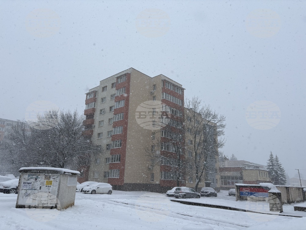 Самоков - зимна обстановка