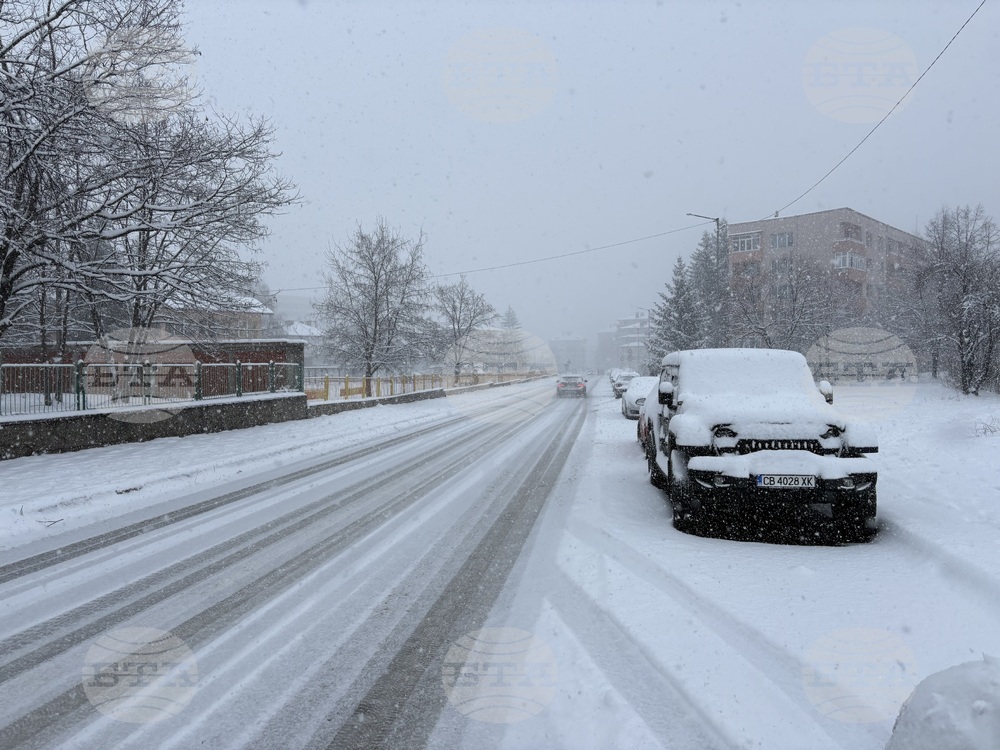 Самоков - зимна обстановка