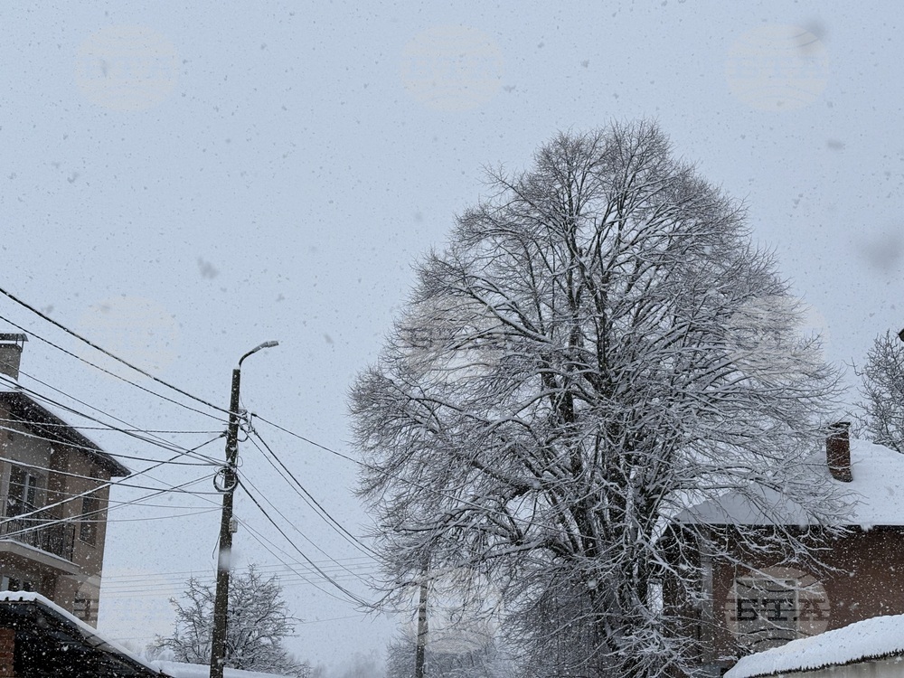 Самоков - зимна обстановка
