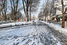 Плевен - сняг - зимна обстановка